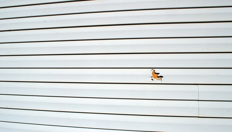 Vinyl Siding Repair - Image 3