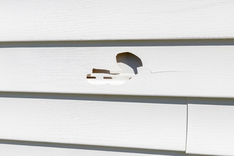 Vinyl Siding Repair - Image 2